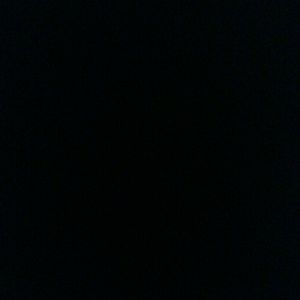 Meet your Posher, Gladys