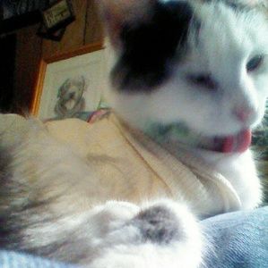 Meet your Posher, Mindy