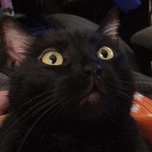 Meet your Posher, Justin