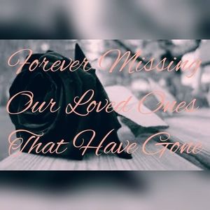 Meet your Posher, Gloria