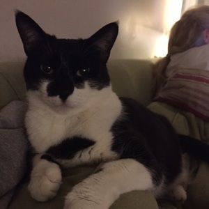 Meet your Posher, Morgan