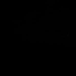 Meet your Posher, Oscar