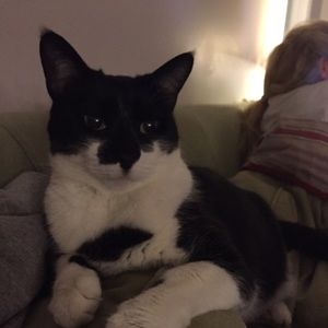 Meet your Posher, Morgan