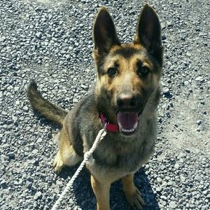 Meet your Posher, Lety