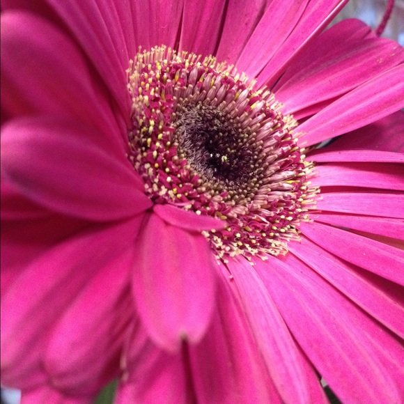 Meet your Posher, Lindsey