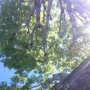 Meet your Posher, Bella