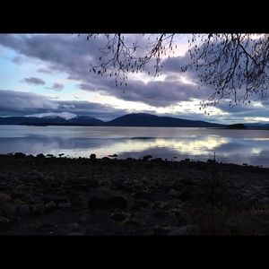 Meet your Posher, Elsa