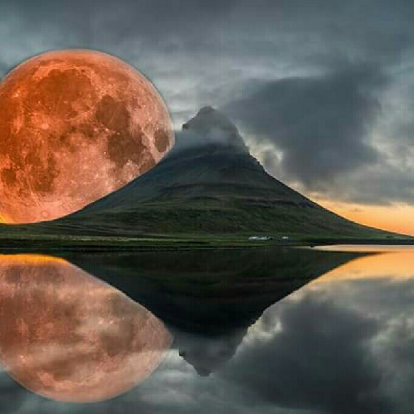 Meet your Posher, Scotty - Picture 1 of 1