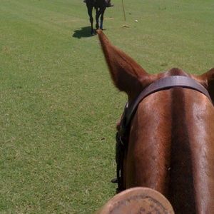 Meet your Posher, Marc