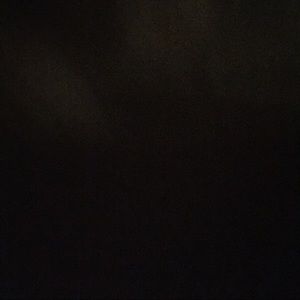 Meet your Posher, Daisy