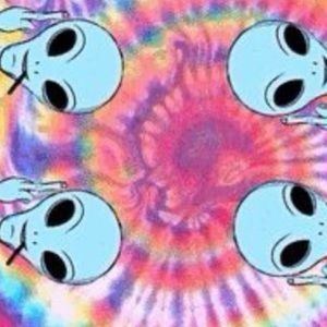 Meet your Posher, Alysia