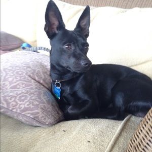 Meet your Posher, September