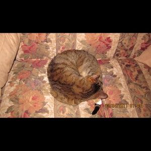 Meet your Posher, Donna