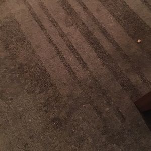 Meet your Posher, Iolani