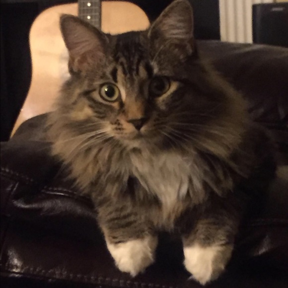 Meet your Posher, Valerie