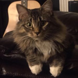 Meet your Posher, Valerie