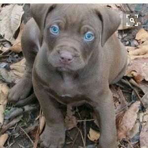 Meet your Posher, Jerome