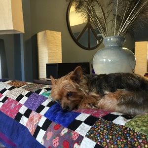 Meet your Posher, Pamela