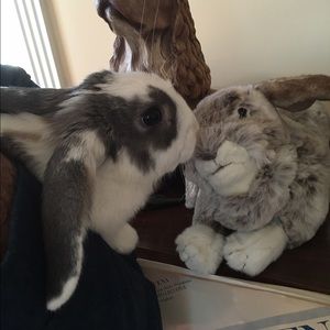 Meet your Posher, Donna