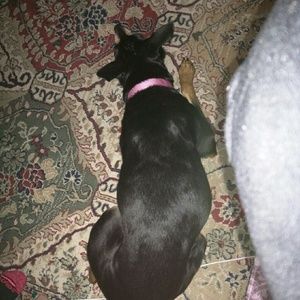 Meet your Posher, Rachel