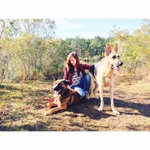 Meet your Posher, Caitlyn