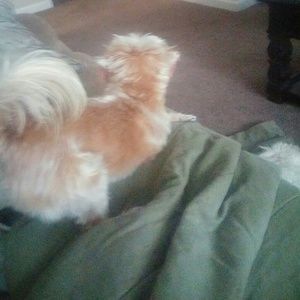 Meet your Posher, Sam