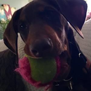 Meet your Posher, Melinda