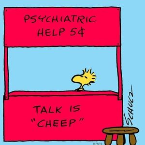 Meet your Posher, Dylan