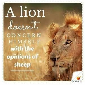 Meet your Posher, Herbert