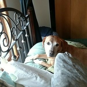 Meet your Posher, Valerie