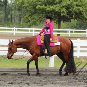 Meet your Posher, Ashley