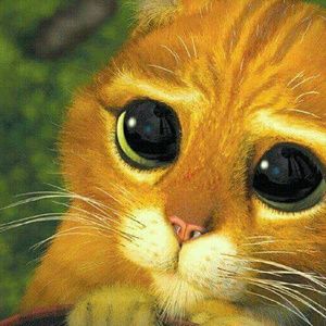 Meet your Posher, Janette