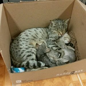 Meet your Posher, Lydia