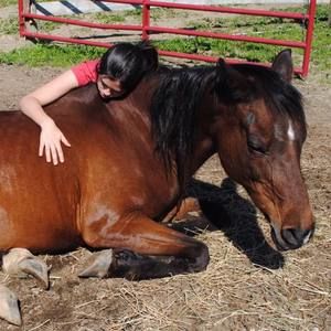 Meet your Posher, Everson