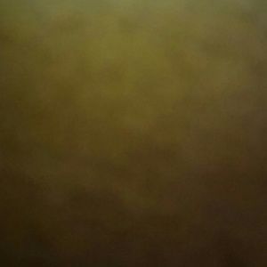 Meet your Posher, Malik