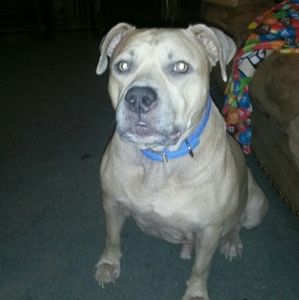 Meet your Posher, Angela