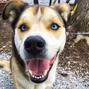 Meet your Posher, Sharon