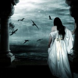 Meet your Posher, Bonnie