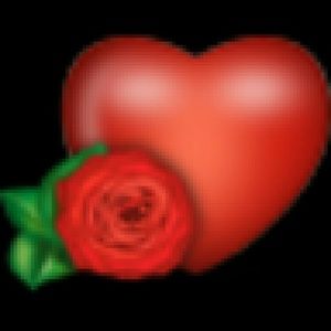 Meet your Posher, Antoinette