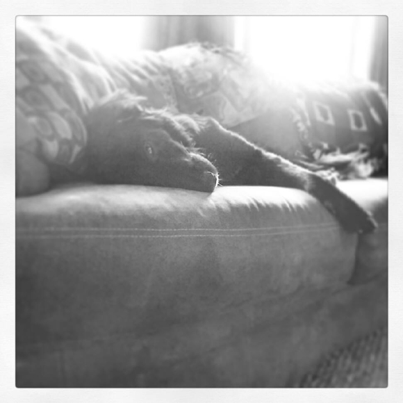 Meet your Posher, Alisha