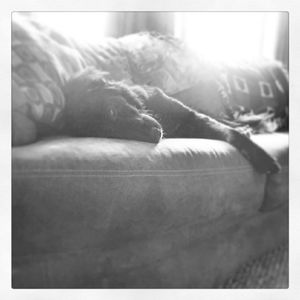 Meet your Posher, Alisha