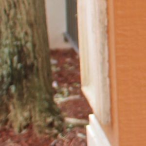 Meet your Posher, Lilly