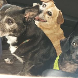 Meet your Posher, Carla