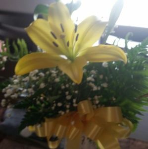 Meet your Posher, Caitlin