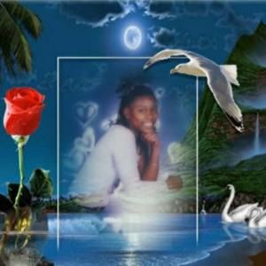 Meet your Posher, Bobbie