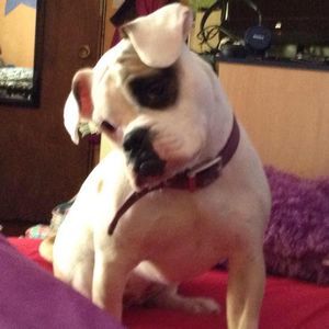 Meet your Posher, Janet