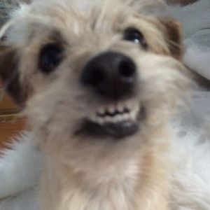 Meet your Posher, Jenna