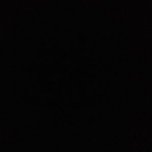 Meet your Posher, Lee