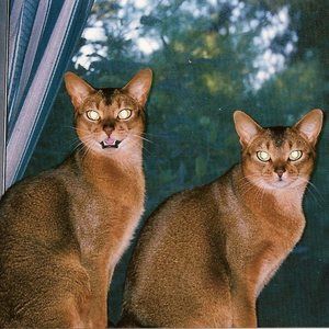 Meet your Posher, Lynne