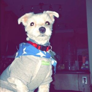 Meet your Posher, Janaiyah